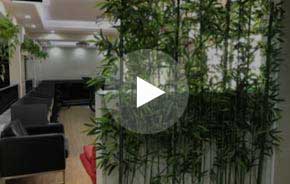 ����䓃��ރr��